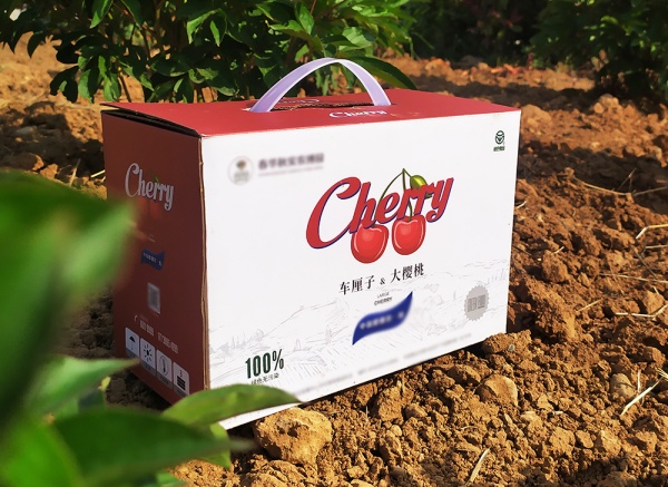 櫻桃、車?yán)遄佣Y盒